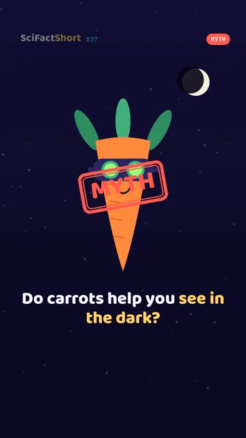 Myth: Do carrots help you see in the dark? Watch the SciFact Short